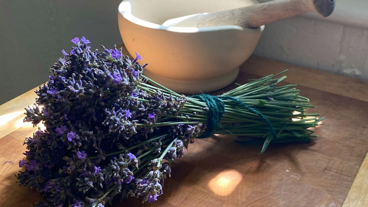 Lavender Oil Skin, Unsplash