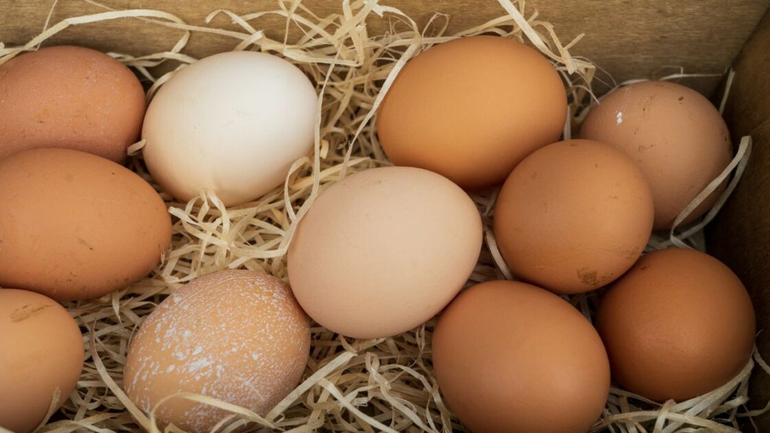 Best Affordable Superfoods Eggs Unsplash