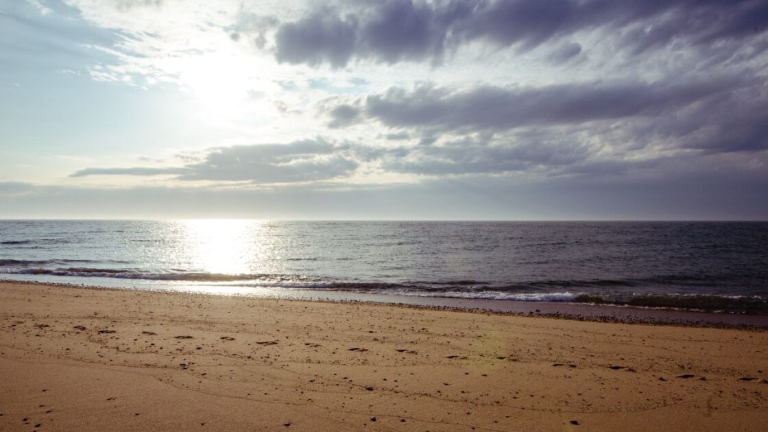 Cape Cod Wiki Commons