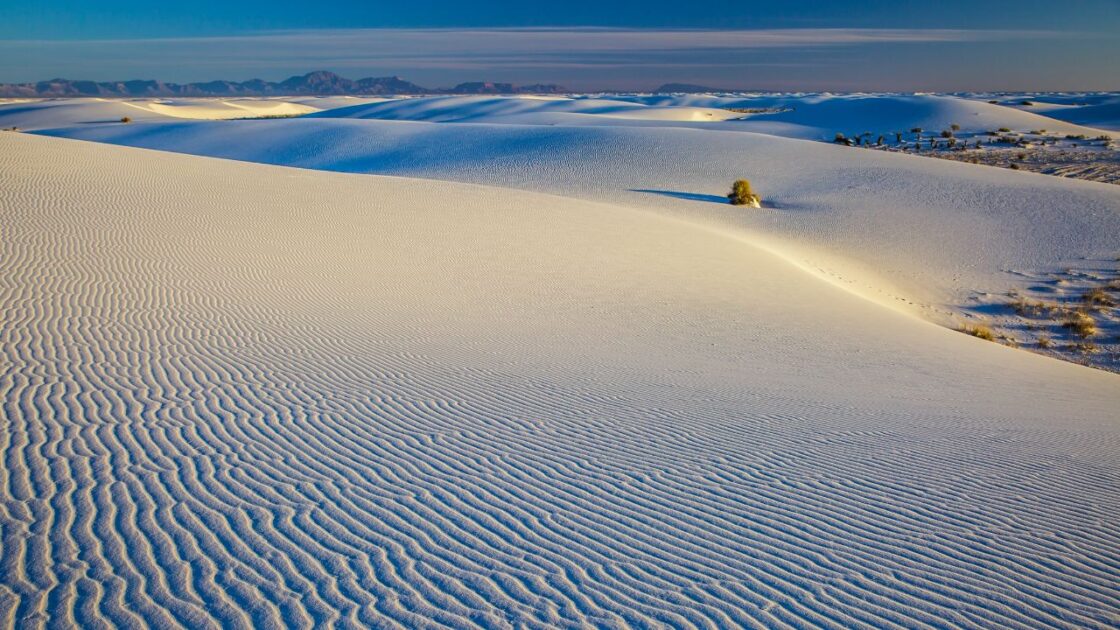 White Sands Wiki Commons