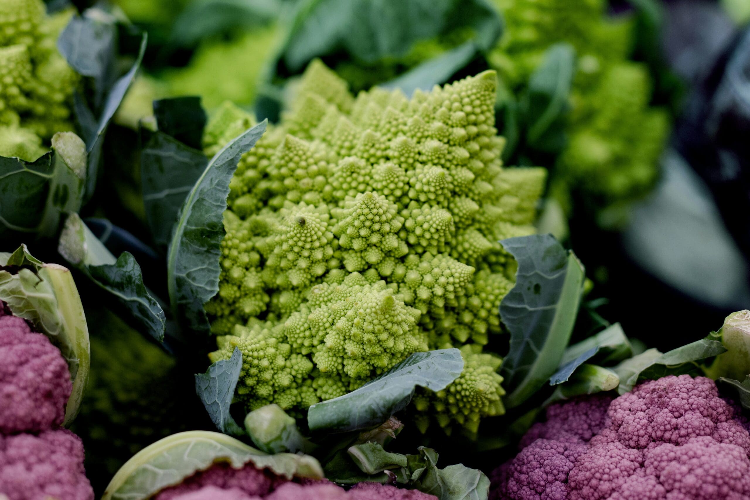 Image of green and purple romanesco broccoli which is an unusual fruit and/or vegetable with a very unique look.