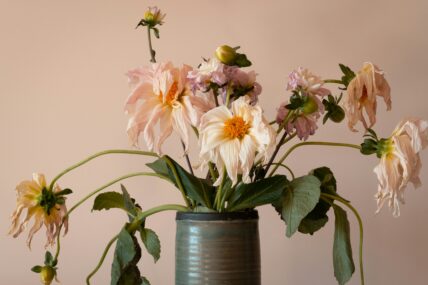 Repurpose a Bouquet Main Unsplash