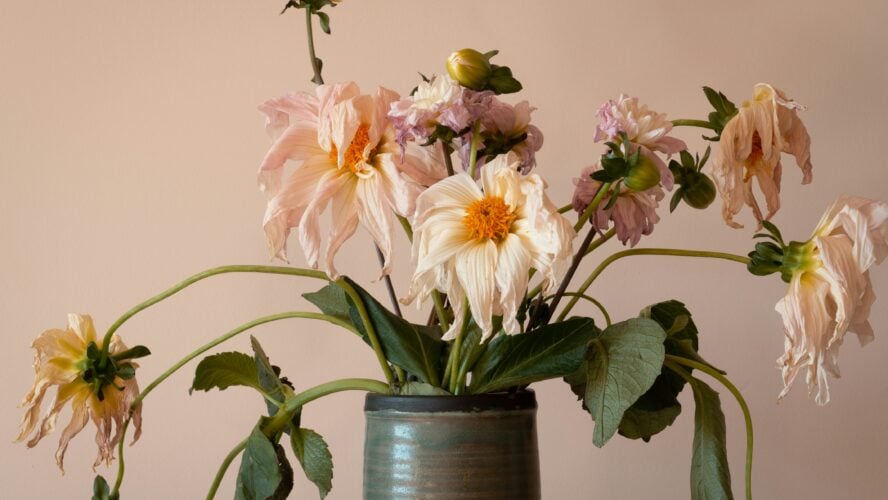 Repurpose a Bouquet Main Unsplash