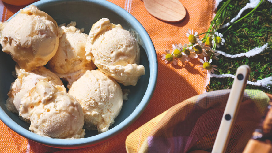 Image of a big bowl full of Salt & Straw french vanilla ice cream set on a summer picnic table.