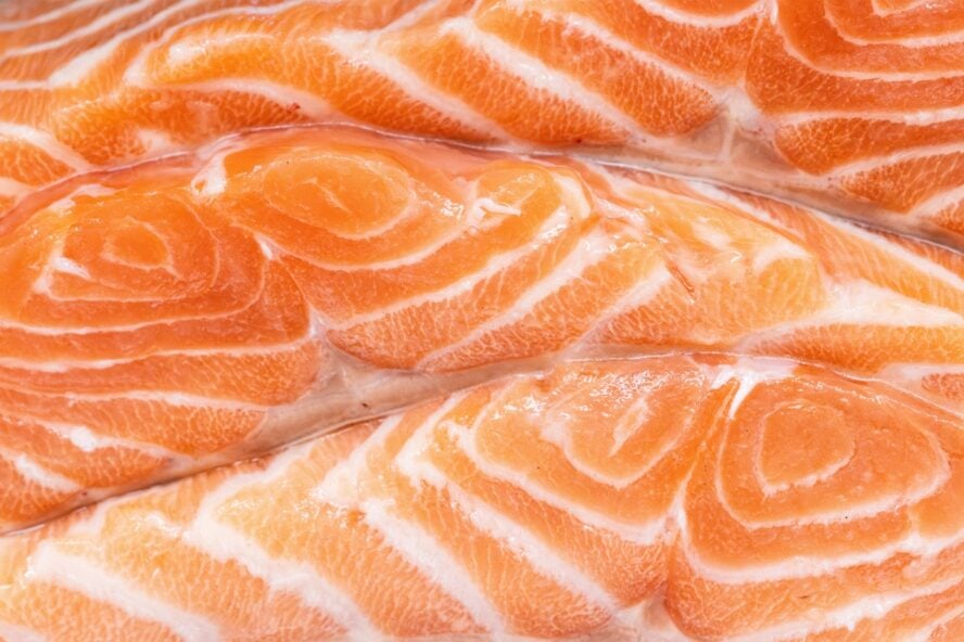 Close-up image of raw salmon fillets.