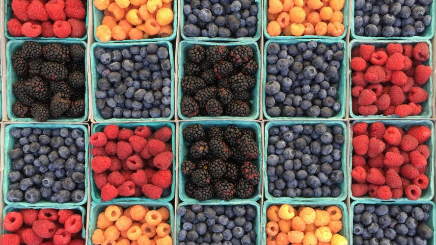 Image of a grid of cartons of colorful berries, which are on the list of foods for brain health.