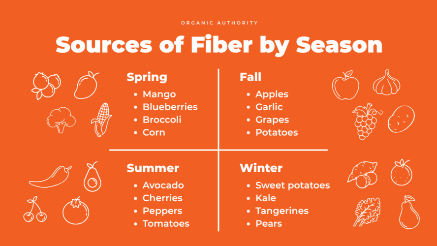 Image of a table featuring several different sources of fiber that are available by season.