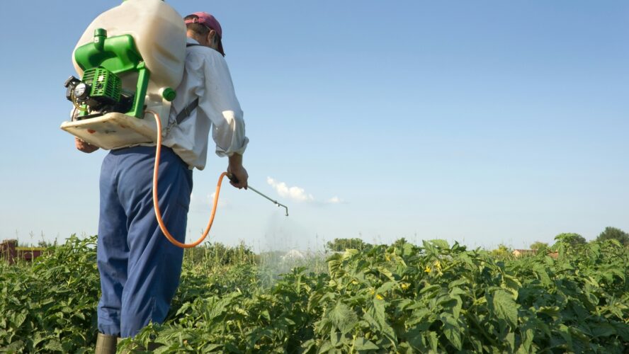 Image of a farmworker spraying herbicides on a field of crops.