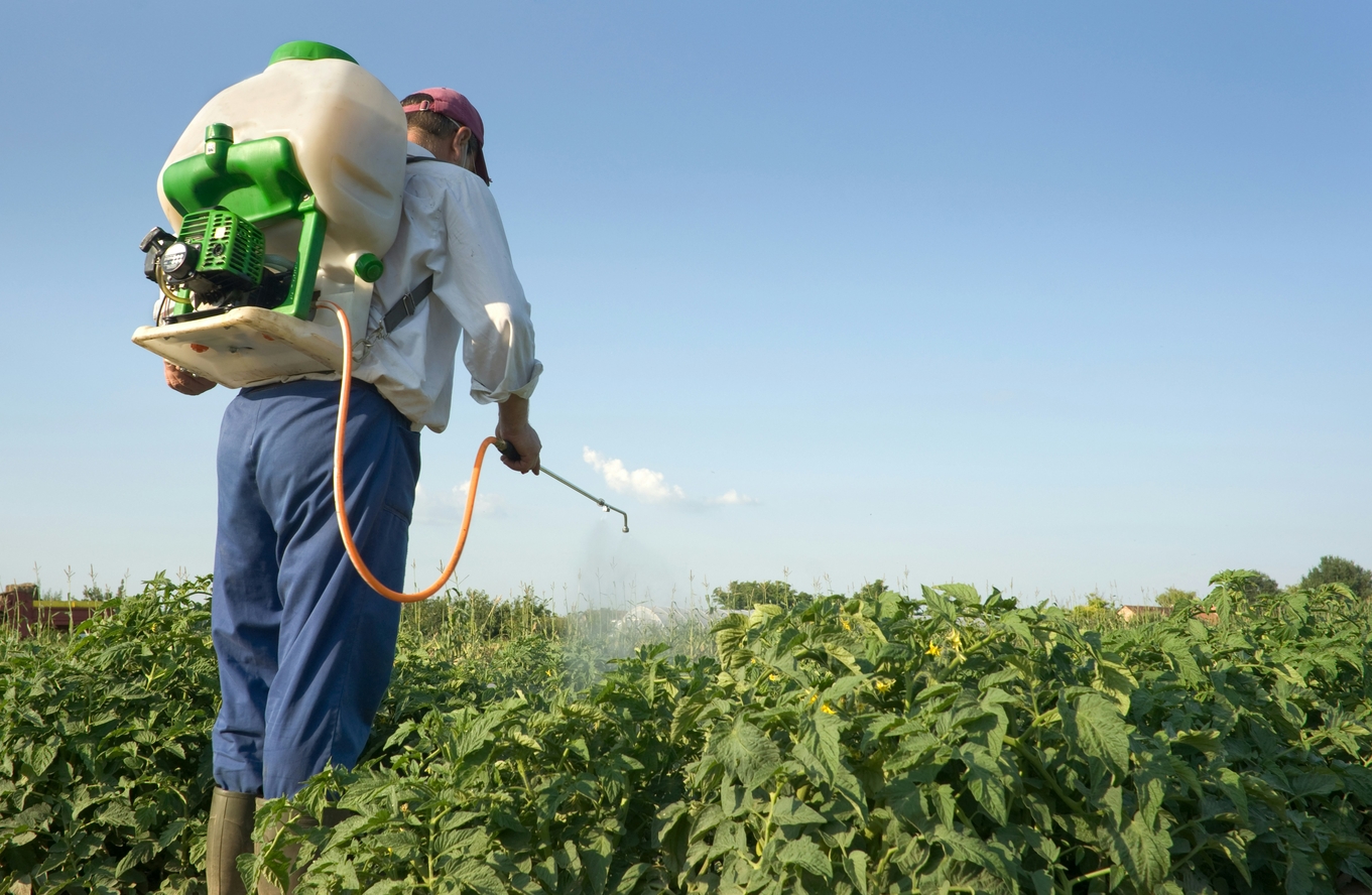Image of a farmworker spraying herbicides on a field of crops.