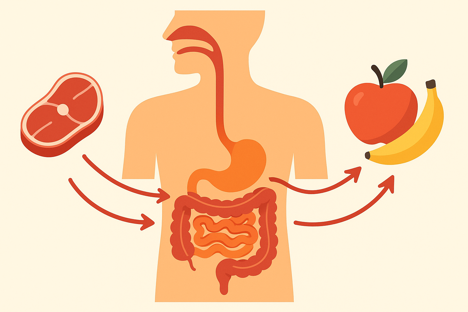 Food pairing for optimal nutrient absorption