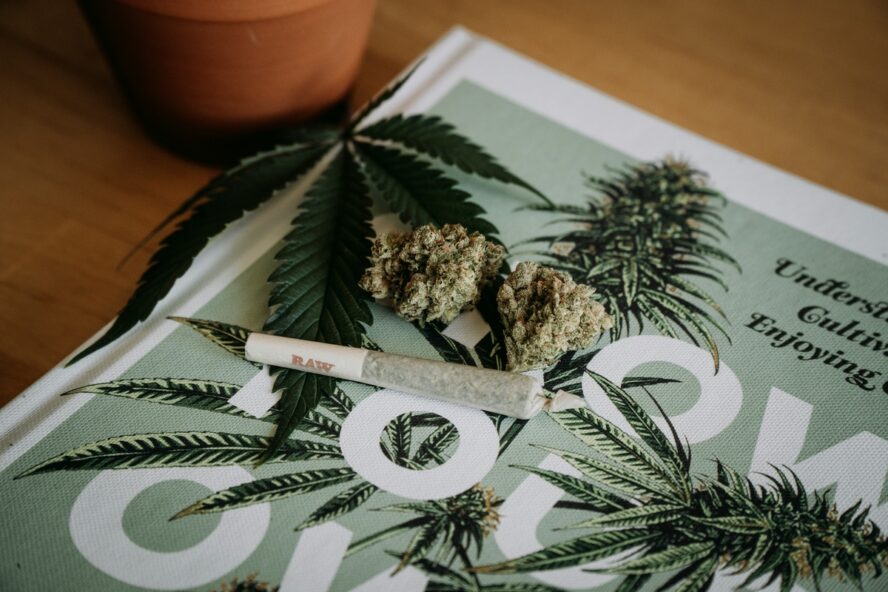 Image of a small joint and two buds of marijuana set on top of a magazine.