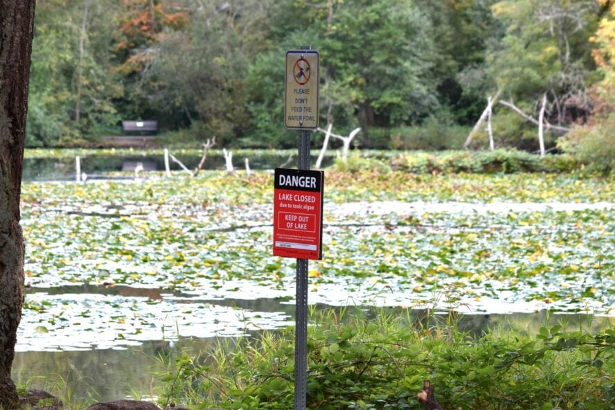 Image of a warning sign in front of a LAKE CLOSED sign that warns people about toxic algae.