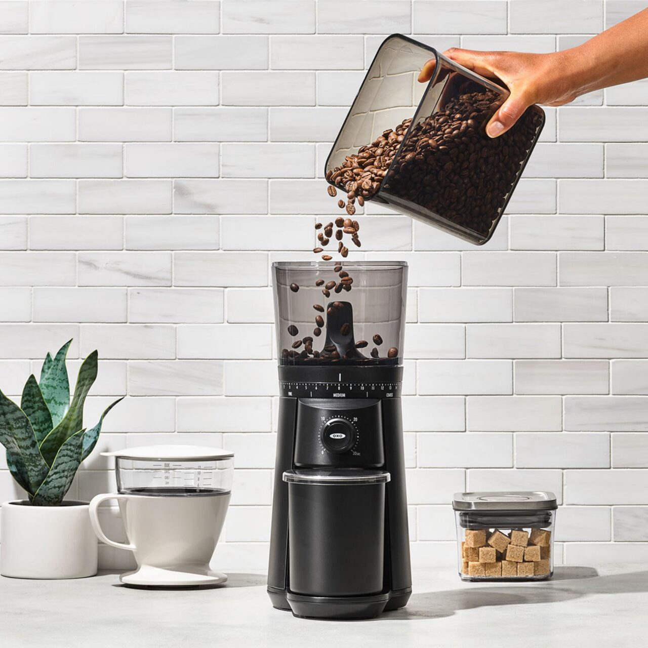 Image of the OXO Brew Conical Burr Coffee Grinder being filled with coffee beans.