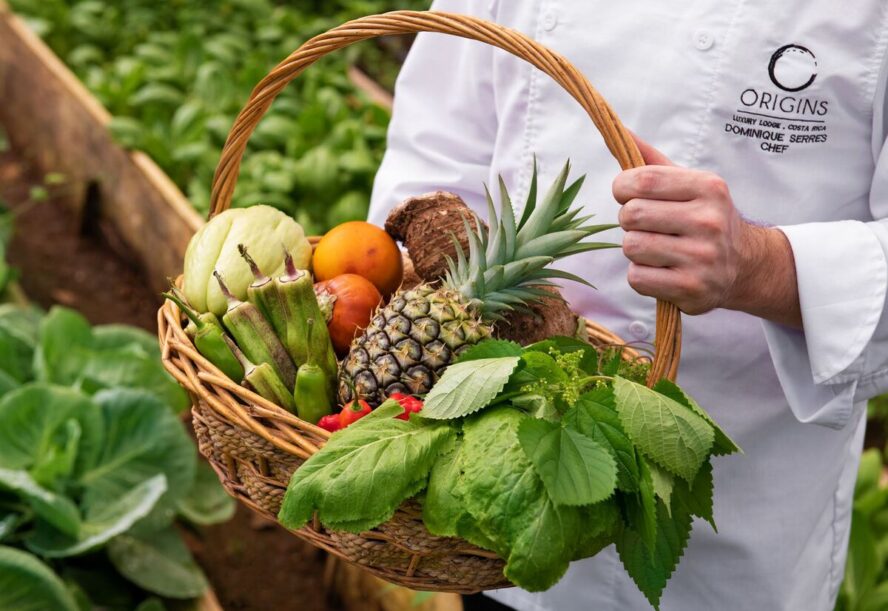 Image of someone in an Origins chef jacket holding a large basket full of tropical fruit and other garden greens grown at the on-site finca.