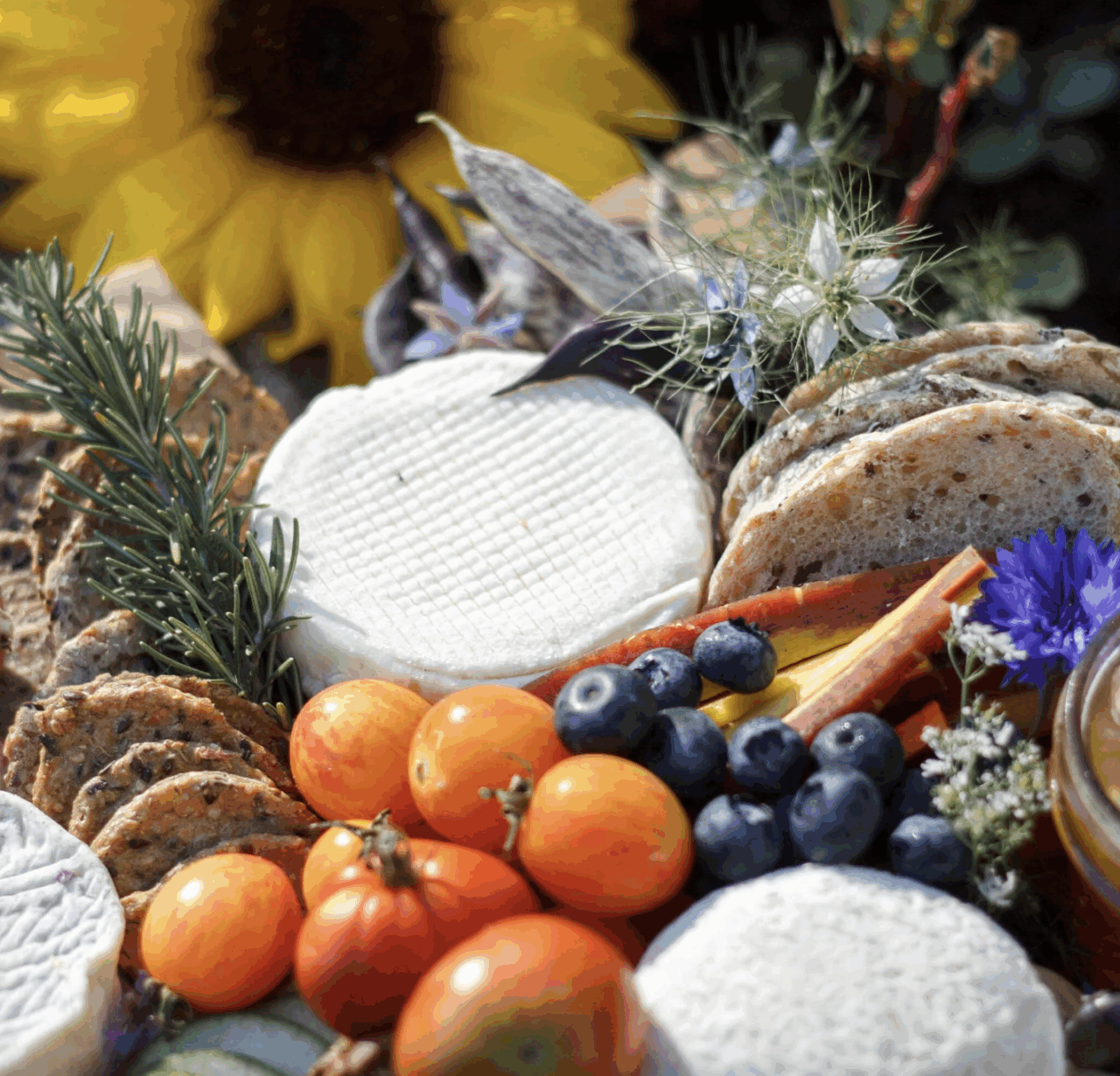 Image of an aged Vermont Creamery cheese round surrounded by crackers, vegetables, fruit, and sprigs of rosemary.