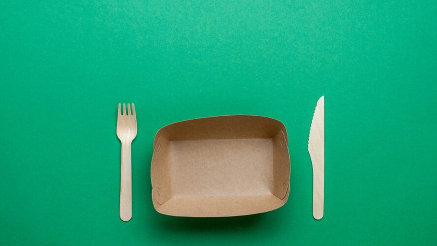 Image of an empty paper takeout plate with a fork and knife on a vibrant green background.