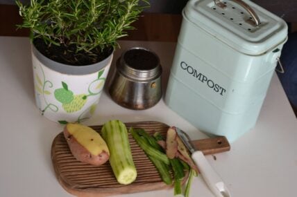 Image of a spread of a few vegetables on a cutting board, next to a small compost bin and a plant pot. lenka dzurendova FTCQPjPfFS4 unsplash (1)