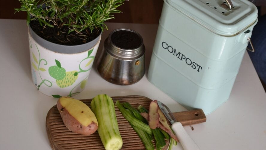 Image of a spread of a few vegetables on a cutting board, next to a small compost bin and a plant pot. lenka dzurendova FTCQPjPfFS4 unsplash (1)