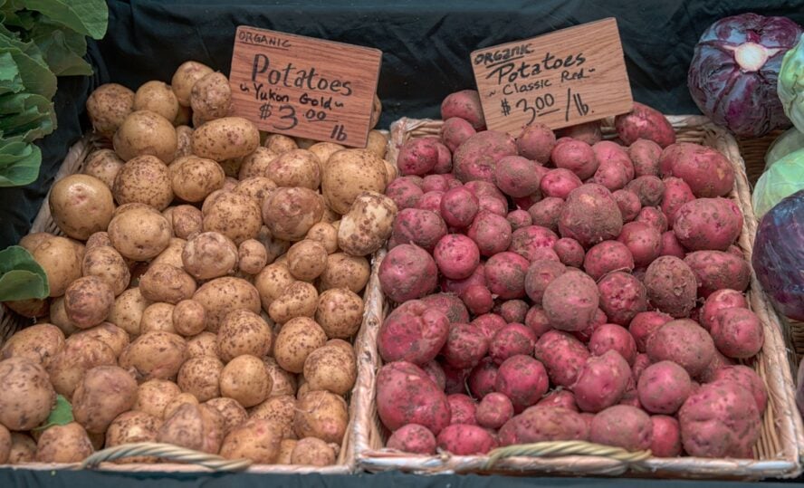 Image of a large pile of Yukon Gold potatoes alongside a pile of Red Potatoes at a farmer's market.