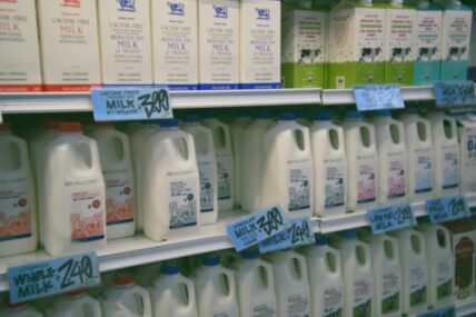 Image of a grocery store aisle filled with milk cartons of different varieties.