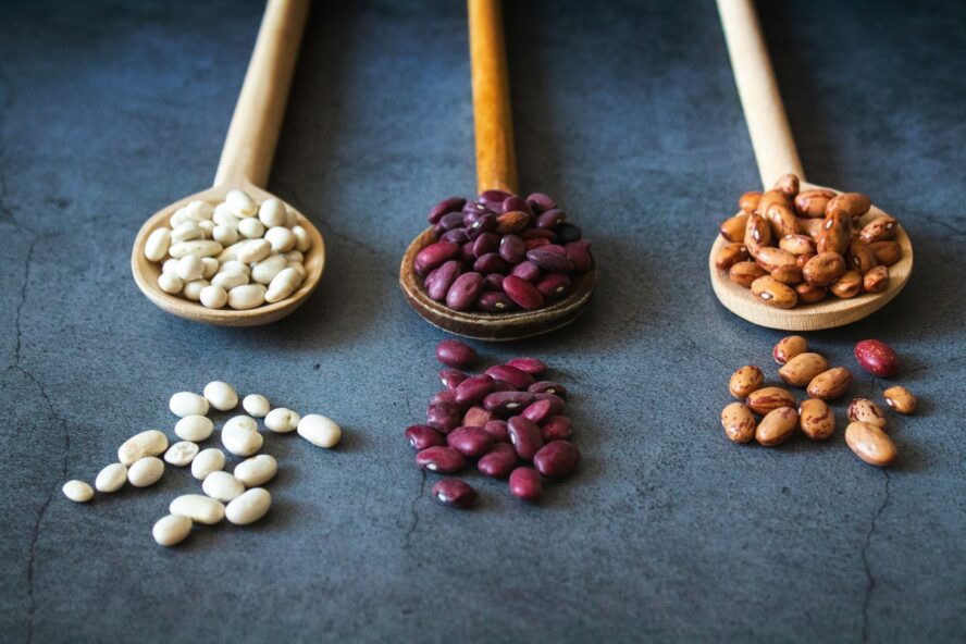 Image of three wooden spoons on a grey tabletop, each overflowing with a different type of dried bean.