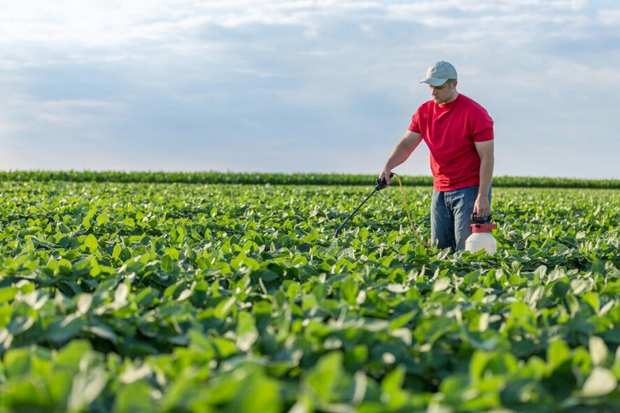 Image of a man in a red shirt spraying herbicides over a field of crops using a handheld device.
