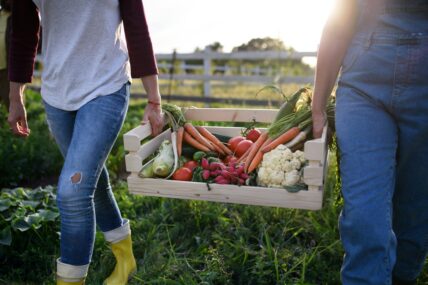 Image of two farmers holding a large crate in between them, filled with fresh produce including carrots, tomatoes, and cauliflower.