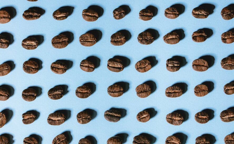 Image of rows of coffee beans shown against a sky blue background.