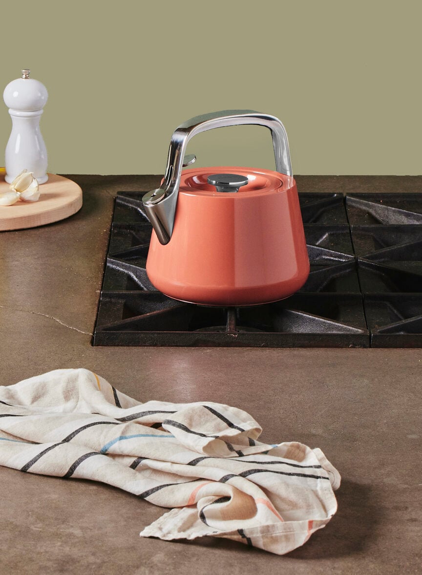 Image of the Caraway Tea Kettle in an eye-catching salmon color.
