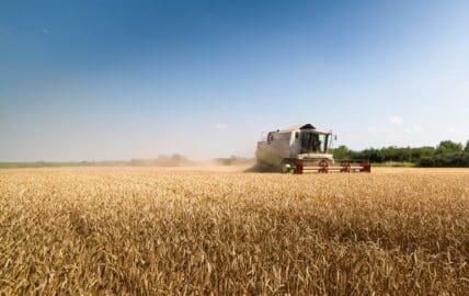 A New Petition Asks General Mills to Commit to Excluding GMO Wheat from Their Products