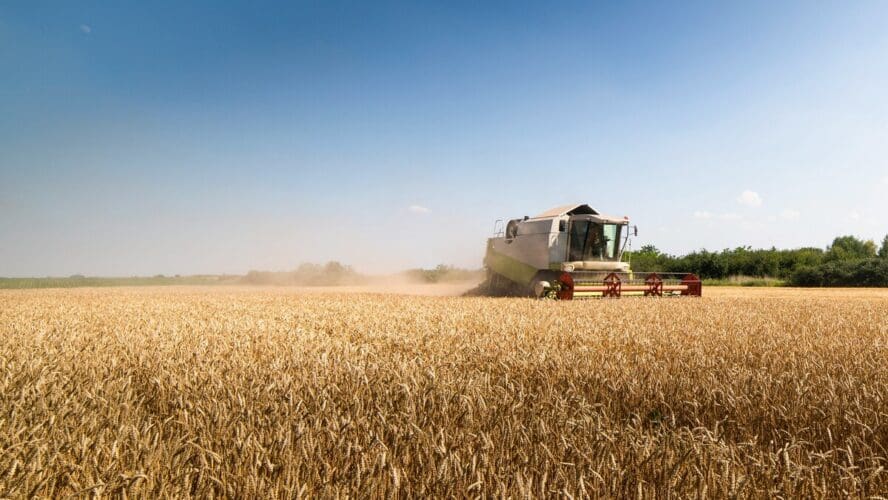 Image of a large field of wheat crops with a tractor in the distance, potentially spraying herbicides.