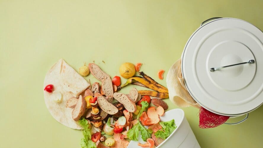 Image of a small trash bin with the contents spilling out onto a green background, including slices of bread, a banana peel, and pieces of various vegetables.