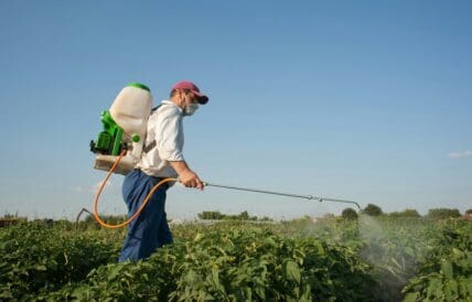 Image of a man wearing a container of pesticides as a backpack, holding a spraying tool to apply pesticides or herbicides to a field.